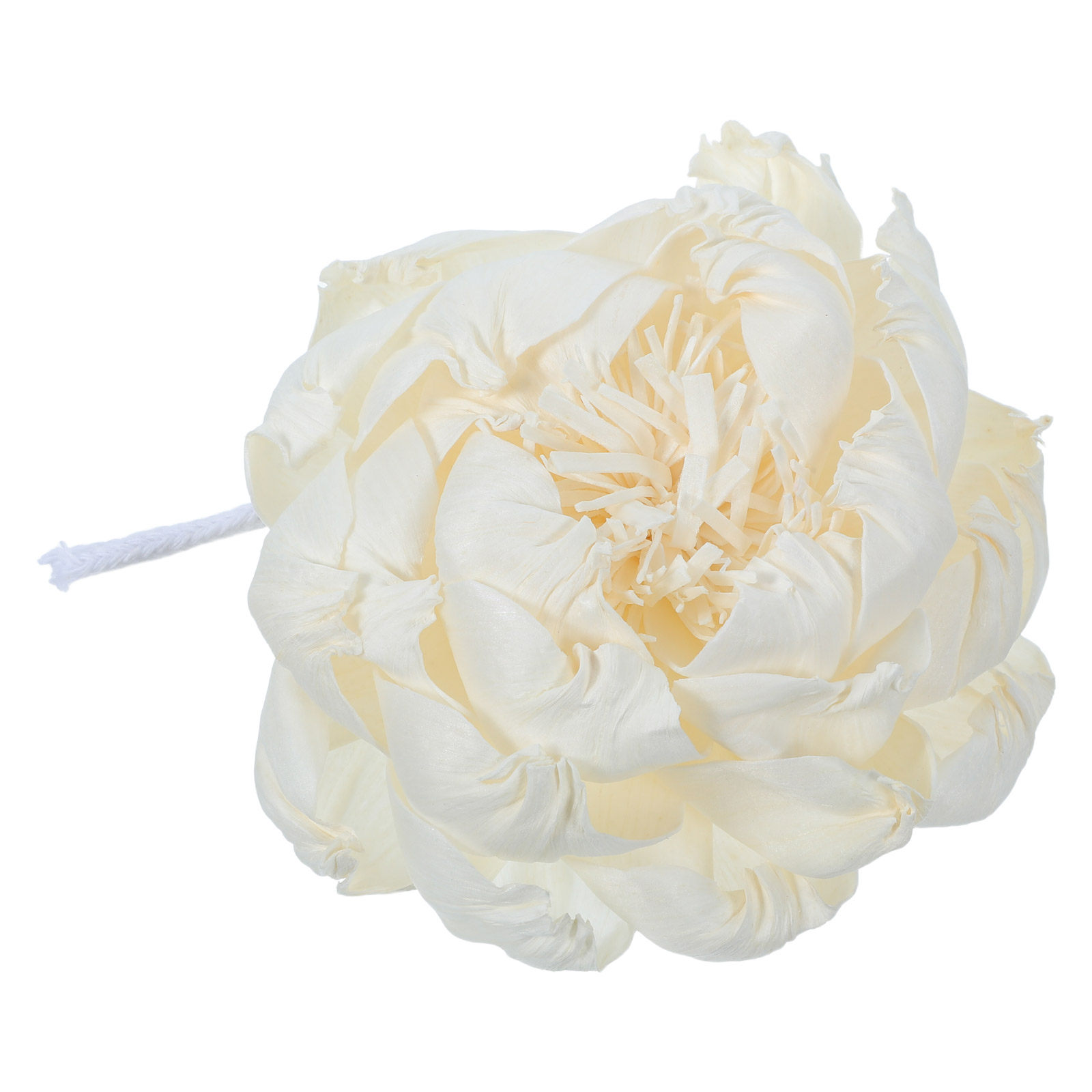 เครื่องกระจายกลิ่นหอมดอกโบตั๋น - Home Fragrance Diffuser Oil บทวิจารณ์และราคา